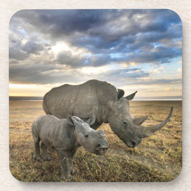 Posavasos Animales de bebé más afectados | Rinoceronte blanc (Frente)