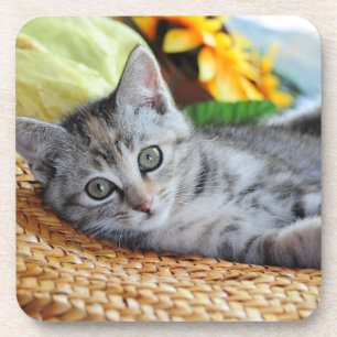 Posavasos Animales de bebé más afectados Salto de gatitos