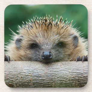 Posavasos Animales de bebé más afectados Sonrisa de edgeho