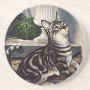 Posavasos Animales de época, mariposa de gato de carne picad
