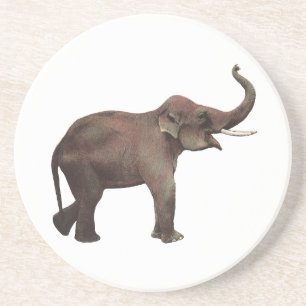 Posavasos Animales Salvajes Vintage, Elefantes Asiáticos de 