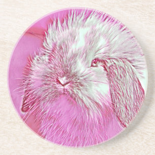 Posavasos AnimalMix_Rabbit_008