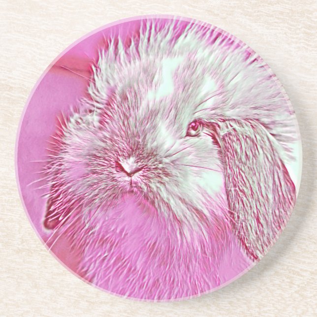 Posavasos AnimalMix_Rabbit_008 (Frente)