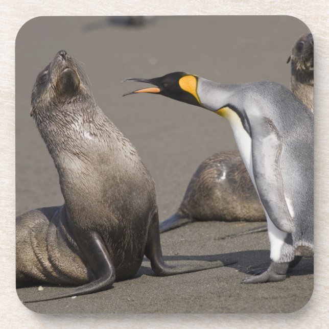 Posavasos Antártida, Isla de Georgia del Sur (Reino Unido),  (Frente)