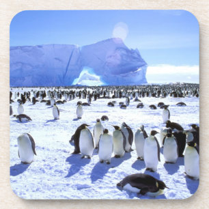 Posavasos Antártida, Península Antártica, Mar de Weddell, 5