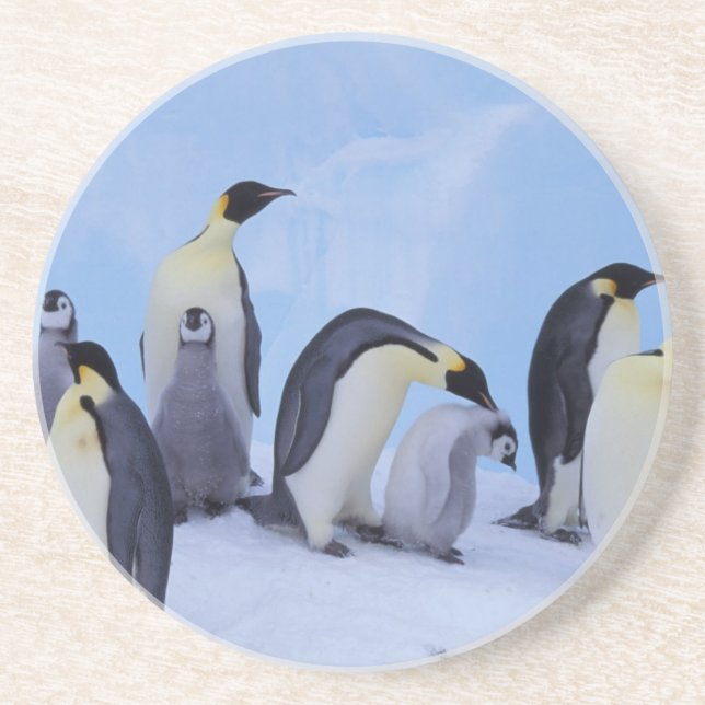 Posavasos Antártida, Pingüinos Emperadores (Frente)