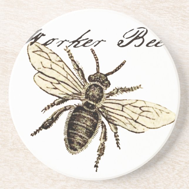 Posavasos Antigüedad del Ilustracion de los insectos de los  (Frente)