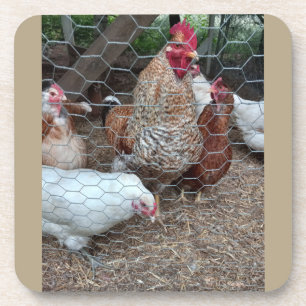 Posavasos Apelación de pollo en casa