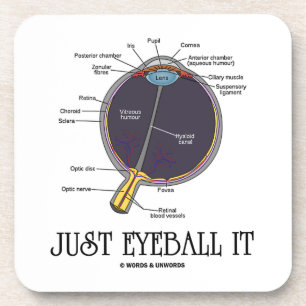 Posavasos Apenas calcúlelo visualmente (la anatomía del ojo