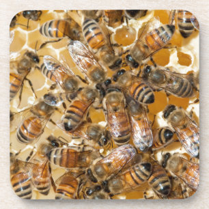 Posavasos Apicultura en Arlo's Honey Farm