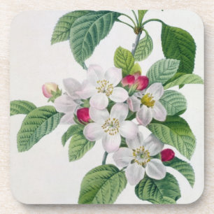 Posavasos Apple florece, del 'DES de Les Choix más bellezas