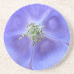 Posavasos Aquilegia Flores