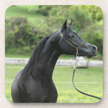 Árabe del negro en los prácticos de costa