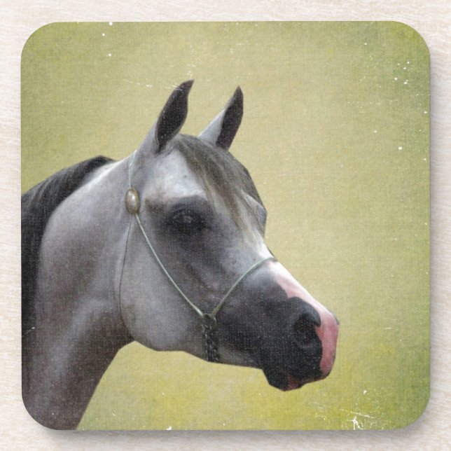Posavasos Arabian Horse Grunge (Frente)
