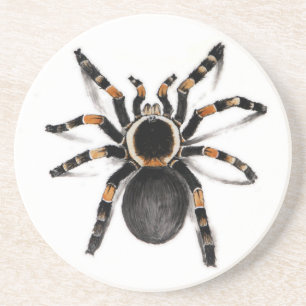 Posavasos Araña congregada rojo del Tarantula