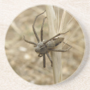 Posavasos Araña crujiente