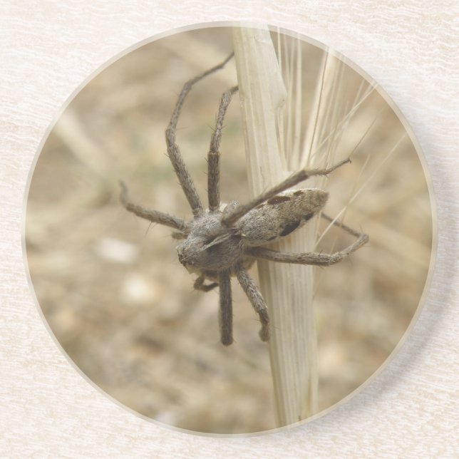 Posavasos Araña crujiente (Frente)