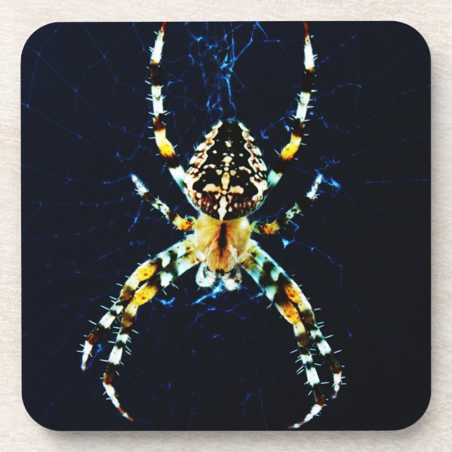Posavasos Araña de jardín europeo (Frente)