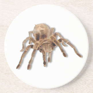 Posavasos Araña del Tarantula