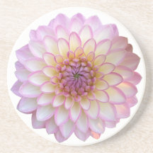 Arbatax Dahlia, escayola de piedra arenisca de flo