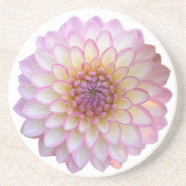 Posavasos Arbatax Dahlia, escayola de piedra arenisca de flo