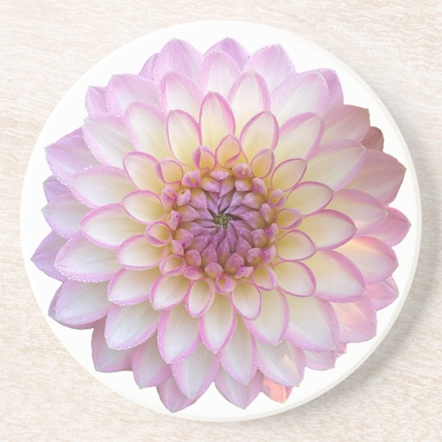 Posavasos Arbatax Dahlia, escayola de piedra arenisca de flo (Frente)