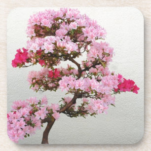 Posavasos Árbol Bonsai Rosa