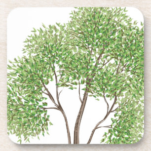 Posavasos Árbol de algodón