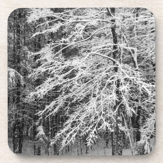 Posavasos Árbol de arce delineado en nieve (Frente)