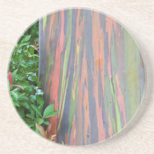 Posavasos Árbol de eucaliptos arcoiris