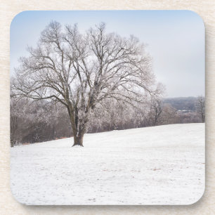 Posavasos Árbol de invierno