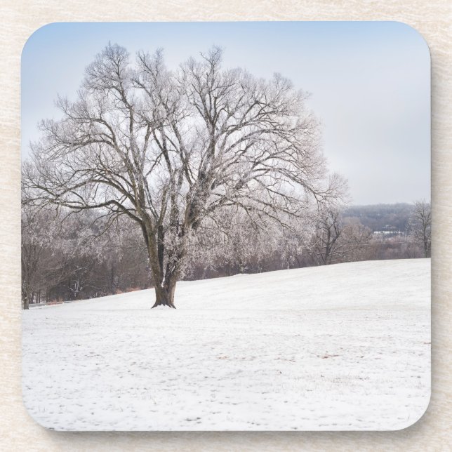 Posavasos Árbol de invierno (Frente)
