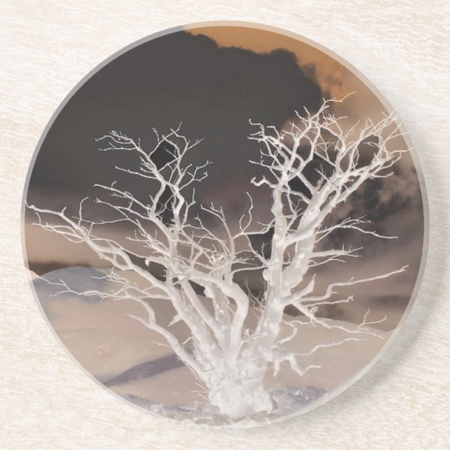 POSAVASOS ÁRBOL DE INVIERNO (Frente)