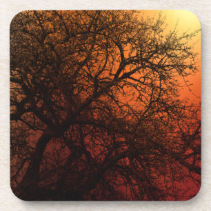 Posavasos Árbol de invierno de la silueta de sol