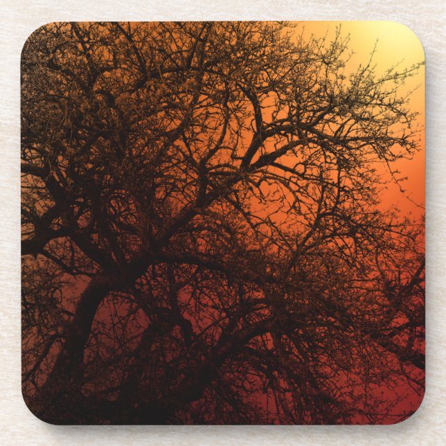 Posavasos Árbol de invierno de la silueta de sol (Frente)