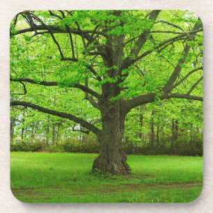 Posavasos Árbol de líneas antiguas