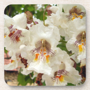 Posavasos Árbol de mar indio florece montaña de plástico dur