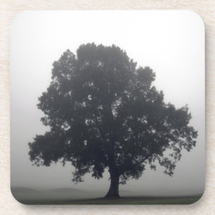 Posavasos Árbol de niebla