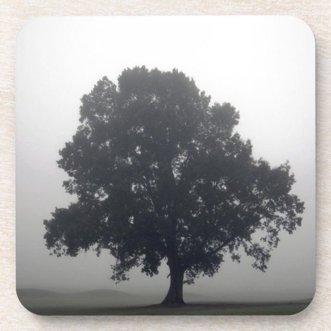 Posavasos Árbol de niebla (Frente)