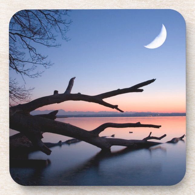 Posavasos Árbol en el lago Starnberg | Muensing Bavaria Alem (Frente)