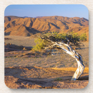 Posavasos Árbol Enmarañado y Tierras Desérticas, Richtersvel