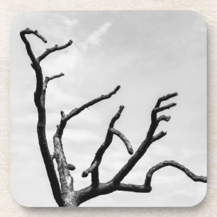 Posavasos árbol libre