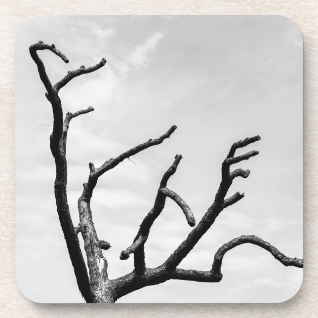 Posavasos árbol libre (Frente)