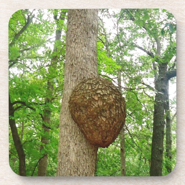 Posavasos Árboles con la colmena incluida grande de la (Frente)