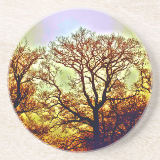 POSAVASOS ÁRBOLES CON SOL BRUMOSO