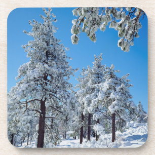 Posavasos Árboles cubiertos de nieve en las montañas Laguna