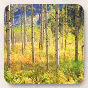Posavasos Árboles de Aspen en Otoño en las Montañas Rocosas