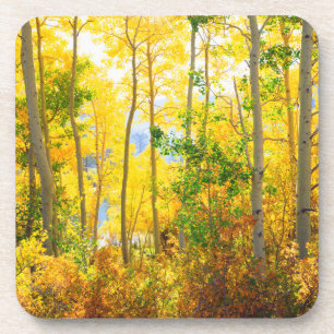 Posavasos Árboles de Aspen en Otoño   Sierra Nevada, CA
