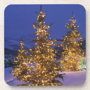 Posavasos Árboles de navidad, Park City, montañas de Wastc