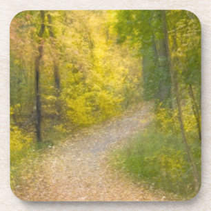 Posavasos Árboles en colores de otoño y camino cubierto de h